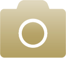A gold camera icon to represent the photo gallery of past galas